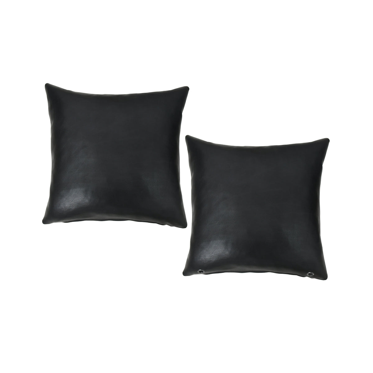 Leather Full Grain Black Cushion