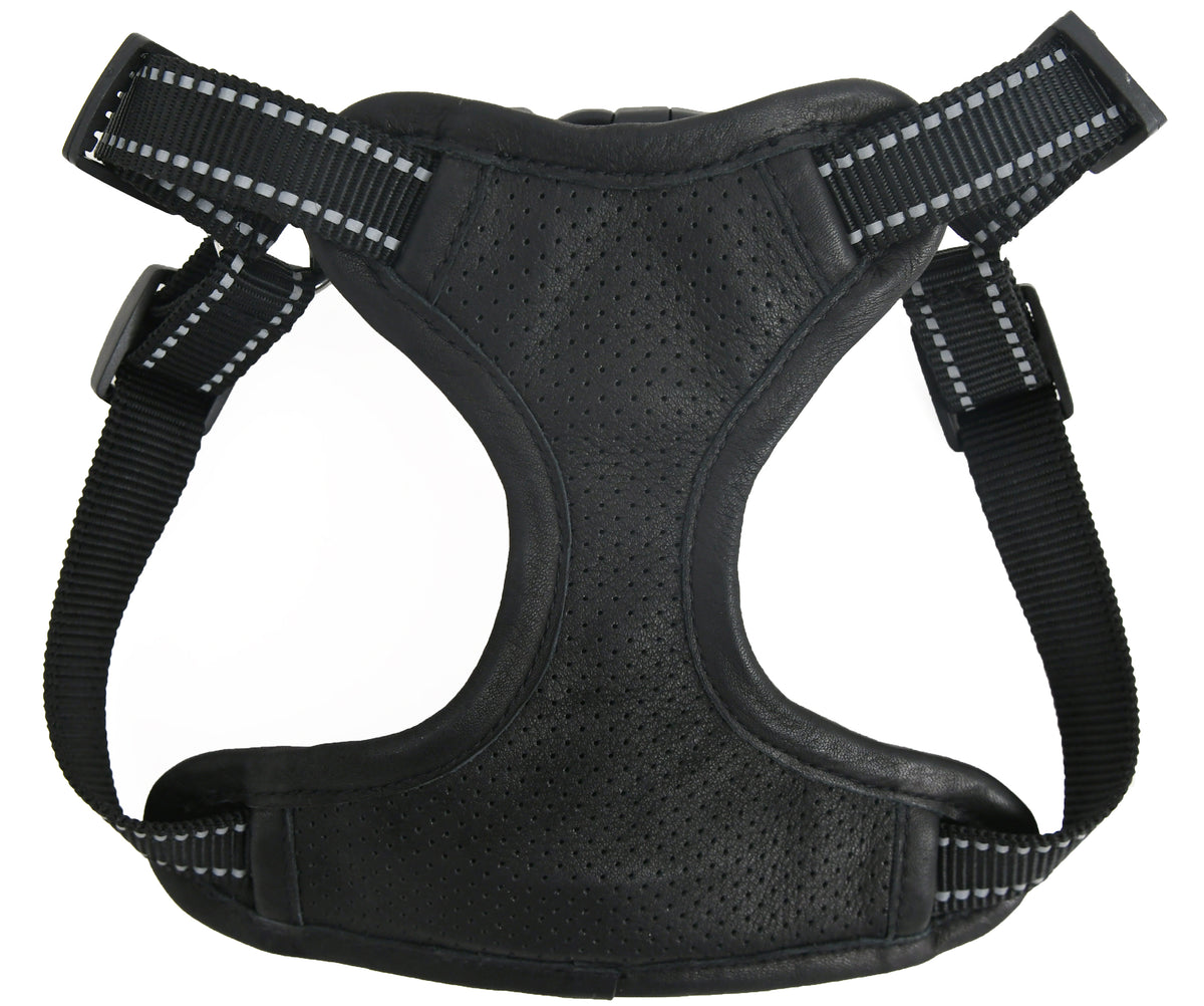 Boss Leather Dog Harness