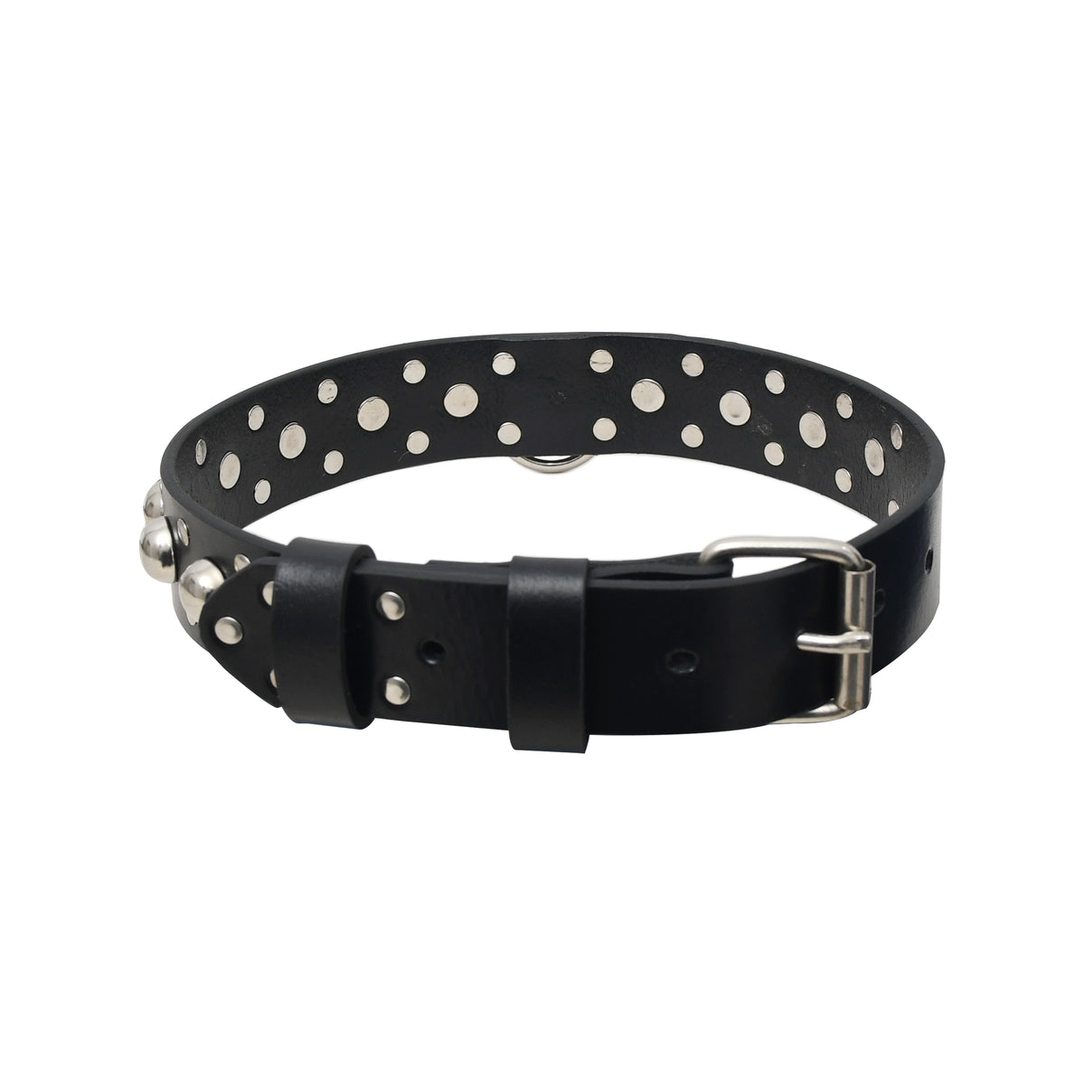 Personalized Leather Standard Dog Collar
