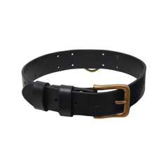 Personalized Leather  Hunting Dog Collar