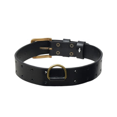 Personalized Leather  Hunting Dog Collar